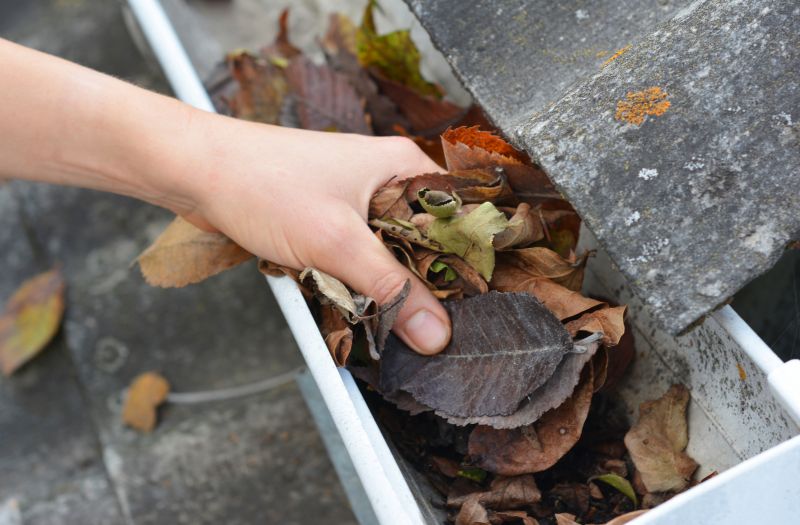 Business Gutter Cleaning in Sacramento, CA