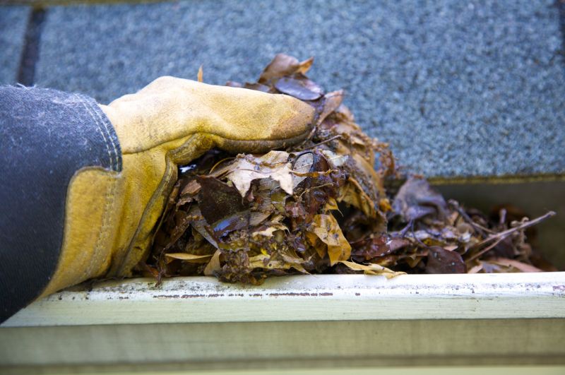Gutter Leaf Clearing in Richmond, VA