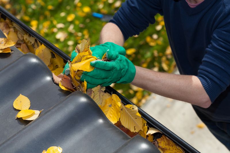 Gutter Leaves Removal in Baltimore, MD
